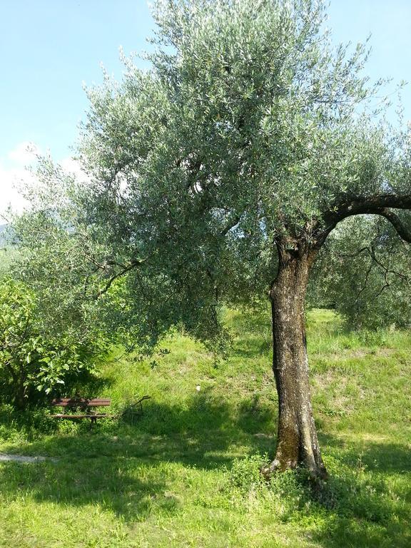 Ca' Dei Gatti Toscolano Maderno Exterior foto